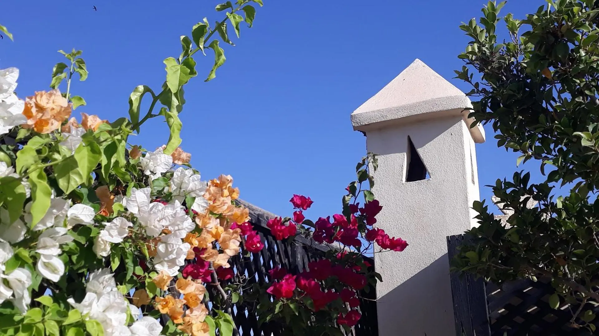 Riad Dar Zampa Marrákes
