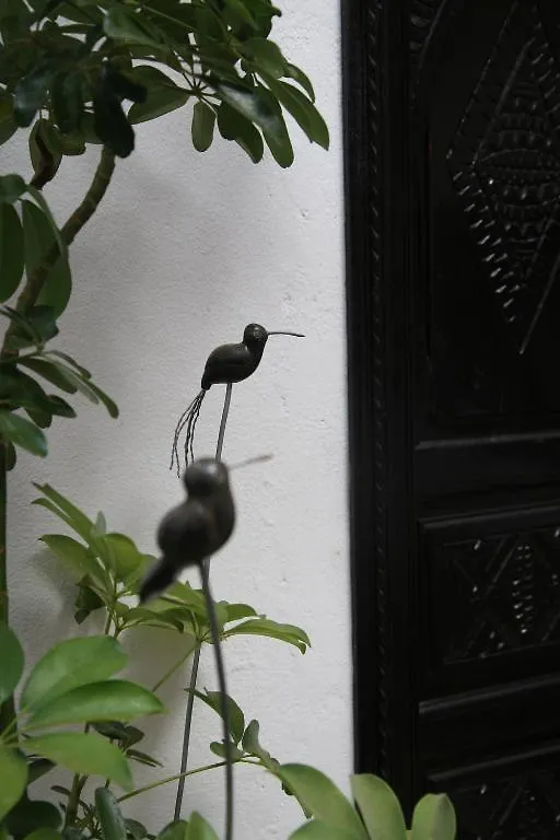 Riad Dar Zampa Marrakesh 2*,  Morocco